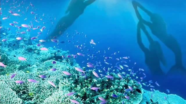 Русалочке, Вике Новиковой, посвящается