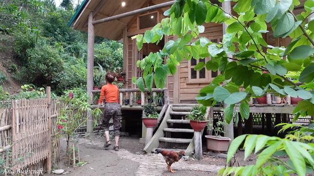 Full Video : The whole process of building, growing and harvesting after 365 days - Ana Bushcraft