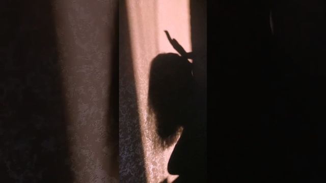 Игра света, тени и женского тела на стене. Танец тени.