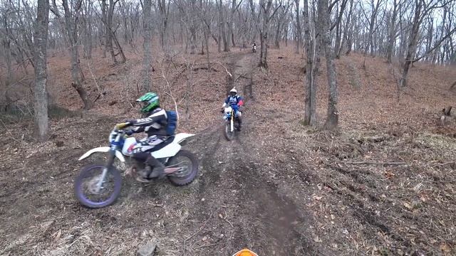 Regulmoto CROSSTREC 300 | 2023 | ТЕСТ-ДРАЙВ по лесу