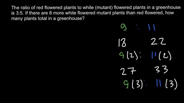 How to solve genetics problems with ratios of genotypes or phenotypes