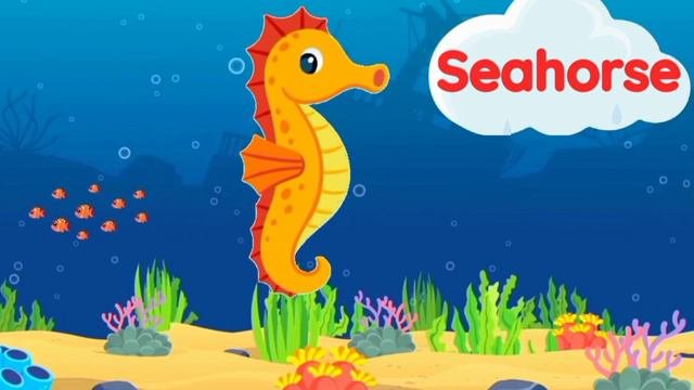 Aquatic animals | Sea animals | Aquatic animals for kids | Sea animals for kids | Water animals
