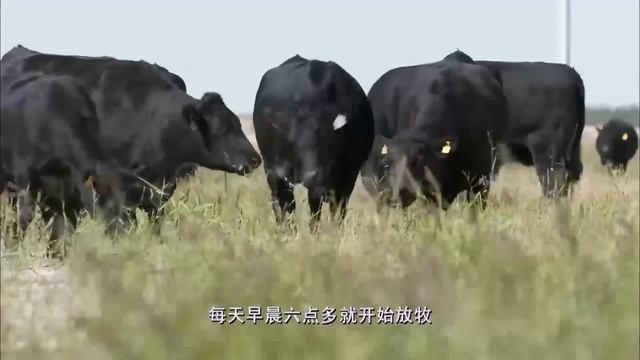顶级潮汕牛肉火锅，三涮三吊，嫩而不生油而不腻，好吃到爆！