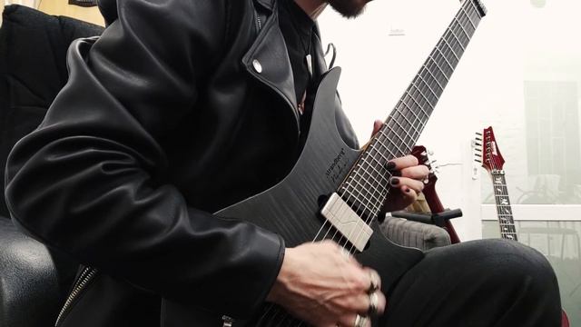 Зимний сад - гитарное соло