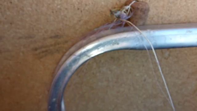 Как сделать рыболовный экран на уклейку.Как сделать рыболовный экран