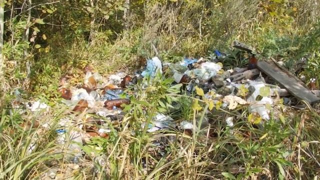 Урок в лесу.mp4