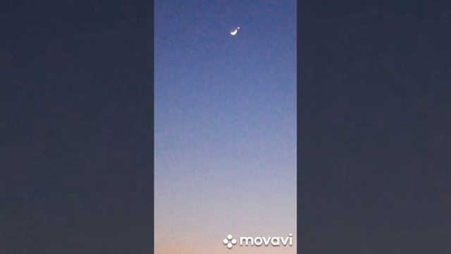 Диво дивное ,чудо чудное