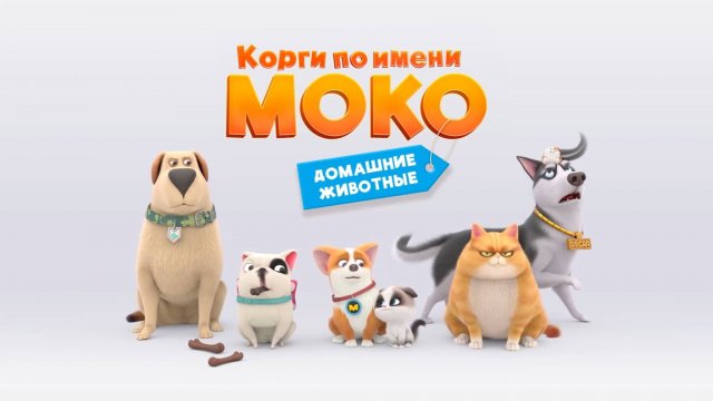 Корги по имени Моко. Домашние животные, 38 серия. Влюблённость Мии