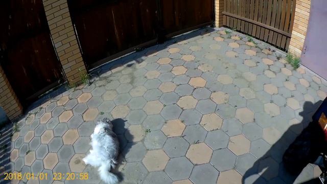 Кофр для квадроцикла своими руками из строительного таза!