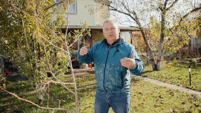СПАСИТЕ САД! Не дайте ГРЫЗУНАМ навредить молодым деревьям