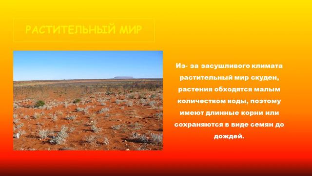 Познавательное путешествие «Пустыня»