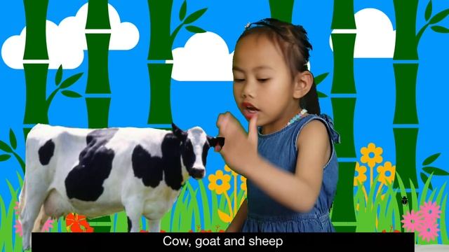 Episode 5: Carnivores,Herbivores and Omnivores