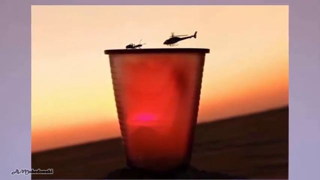 УДАЧНЫЙ КАДР или ПОКАЗАЛОСЬ(+Конкурс)