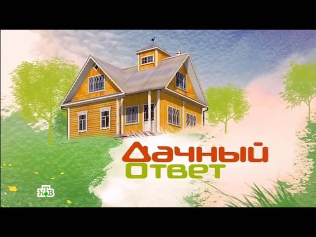 "Дачный ответ": Настоящий рок-клуб и уютная спальня на мансарде
