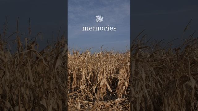 MEMORIES