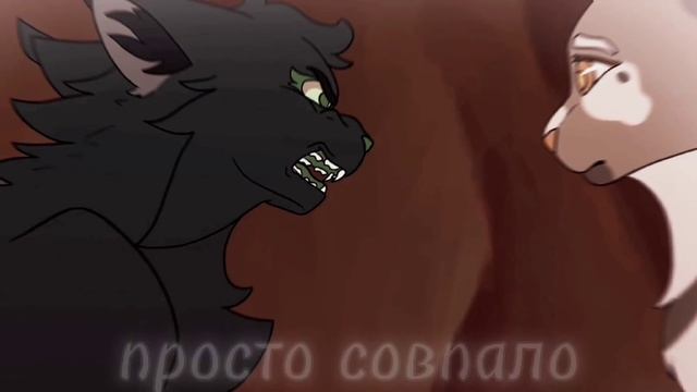 Остролистая:«Знак Бесконечность»//Коты Воители