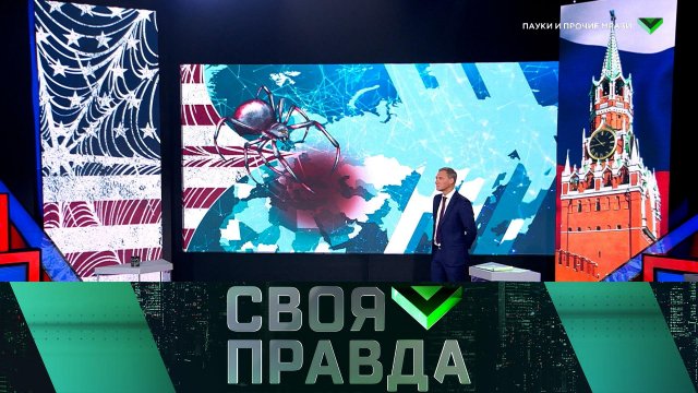 «Своя правда»: Пауки и прочие мрази | Выпуск от 3 ноября 2023 года