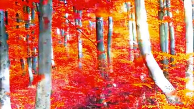 CLAM BEST WATER RIVER SOUND VIDEO!Relaxing S Nature Video!Relaxing!Nature