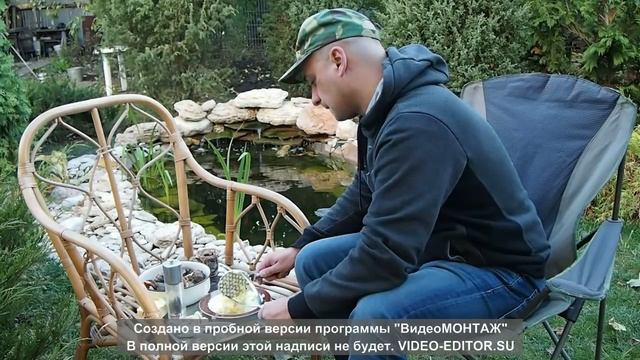 Рапана на мангале. Рецепт, таки да, BBQ!