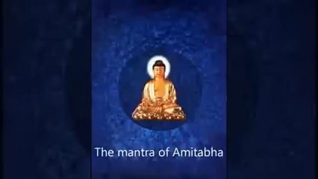 Лучшая мантра АМИТАЮСА (Полная версия)