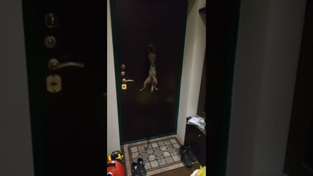 тук-тук! кто там? - это я, Почтальон Печкин!