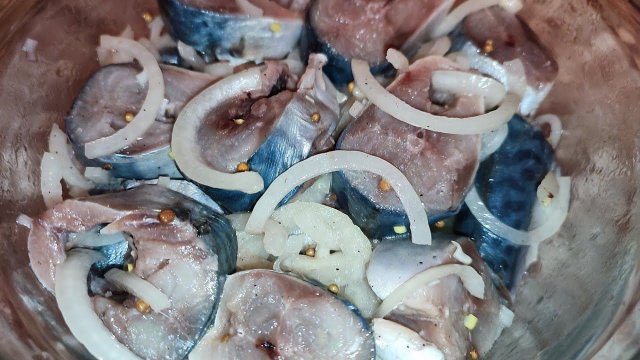 Самый быстрый и простой СПОСОБ ЗАСОЛКИ СКУМБРИИ.