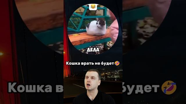 😂😂😂😂