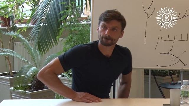 Топиарное искусство: теория и практика