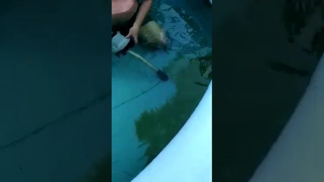 Пылесос для бассейна из дренажного насоса