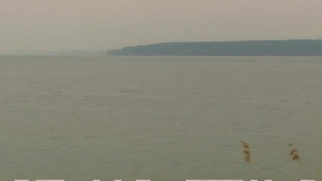 Конный мир.КУРСКИЙ КОННЫЙ ЗАВОД