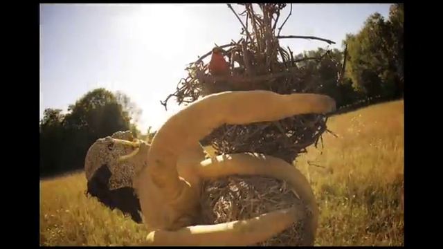 Radiohead - Weird Fishes - by Tobias Stretch