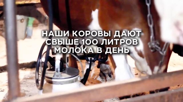 Натуральные фермерские продукты с доставкой на дом