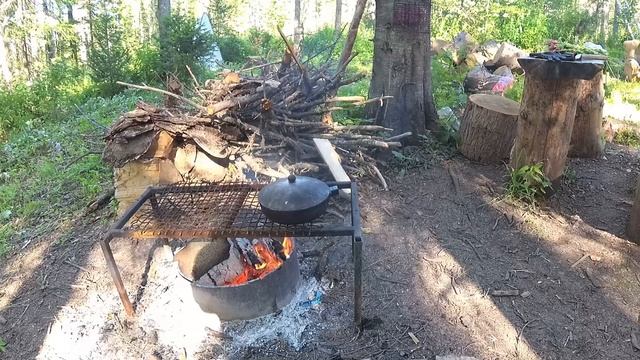 Лесная изба.Лес.Природа