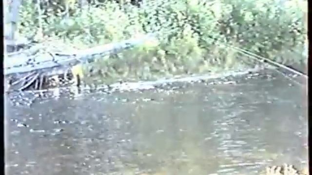 Рыбалка на реке Долбырь, Как это было 2 десятка лет назад. 2000-й год, ленок, таймень, хариус.