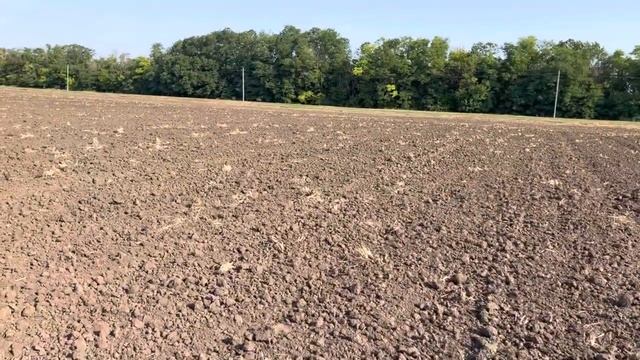 Озимая пшеница по озимой пшенице. Как это делаем мы. Урожайность по колосовым в 2022г 72-81ц/га.