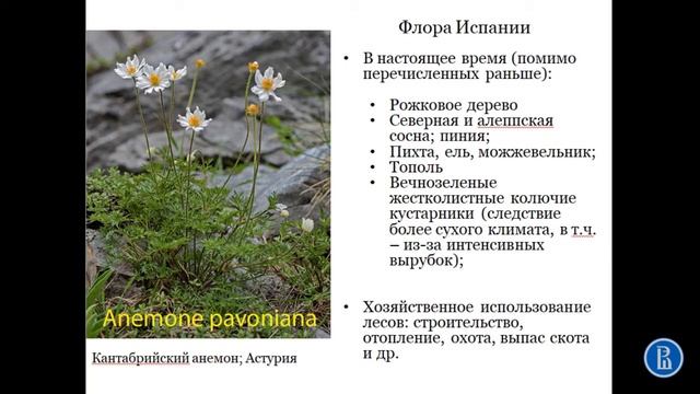 Флора и фауна Испании