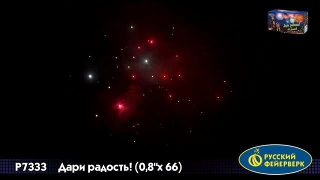 Р7333 "Дари Радость".mp4