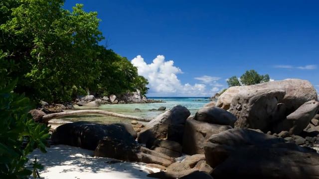 TALAMASCA Back To The Future Full HD