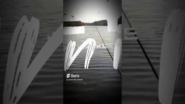 #легенда #weekend.mp4