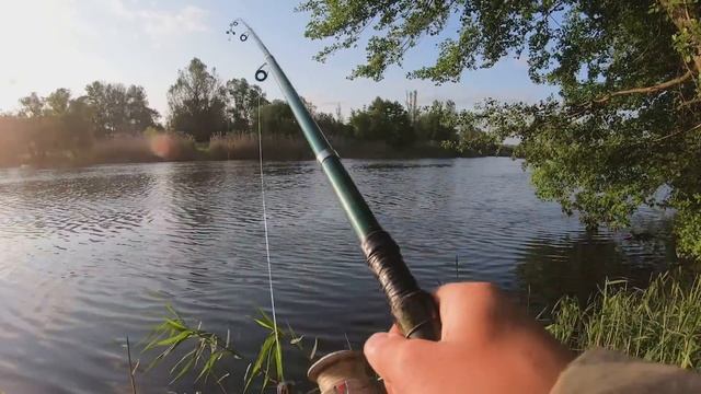РЫБАЛКА на СОМА в АВГУСТЕ... СОМ БУДЕТ КЛЕВАТЬ, ЕСЛИ ЛОВИТЬ с БЕРЕГА на ВЫПОЛЗКА