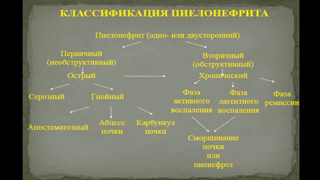 9:40 Острый и хронический гломерулонефрит. Острый и хронический пиелонефрит