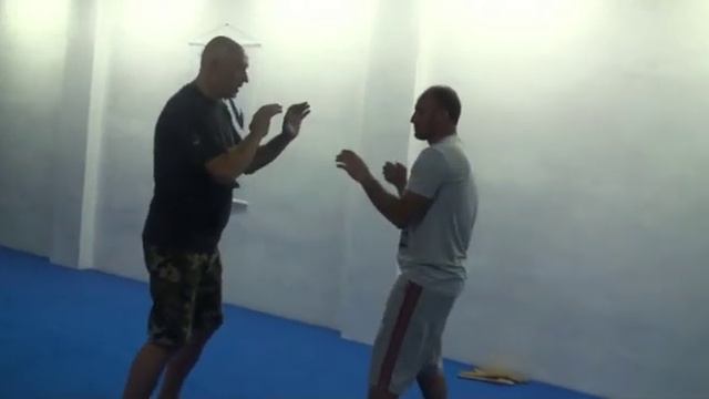 Анализ боевых искусств (Карате, Русский Стиль, Айкидо, Спецназ, Бокс, Самбо Цигун)