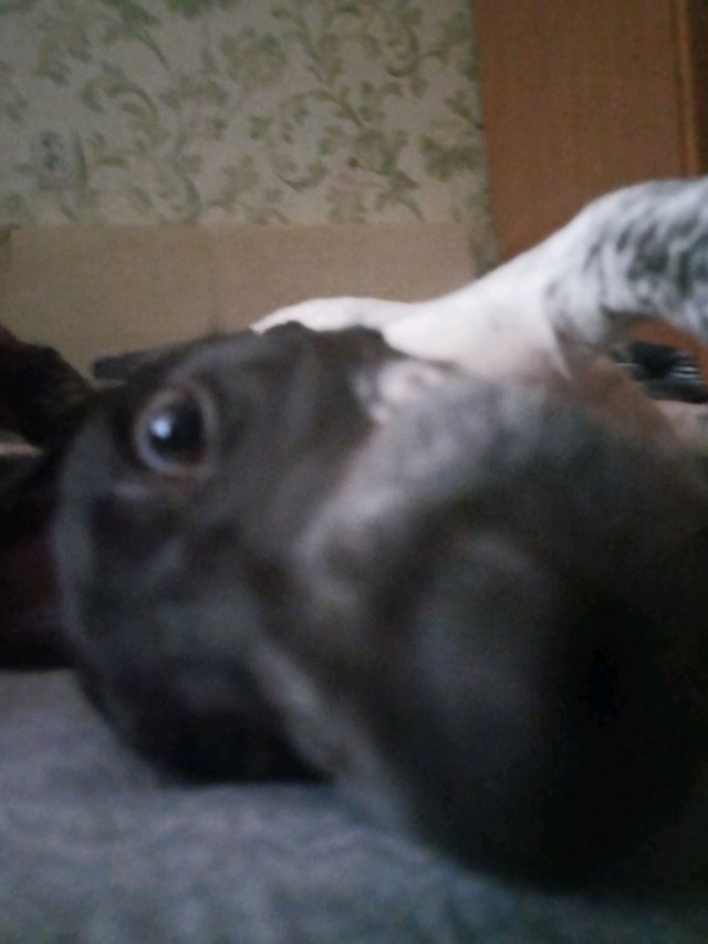 нет