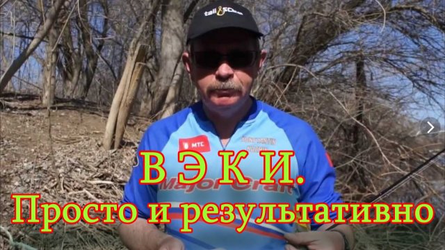 Константин Кузьмин. ВЭКИ. Просто и результативно, 2013 год