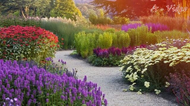 ?Примеры ландшафтного дизайна загородных участков / Landscaping ideas / A - Video