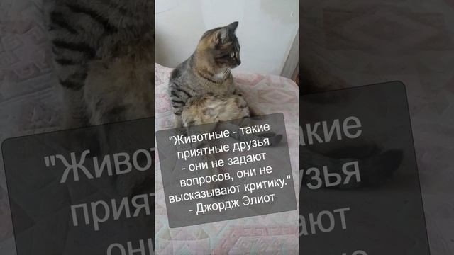 Животные - такие приятные друзья....