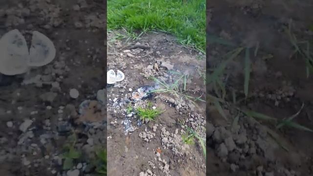 нитрат калия и уголь горение