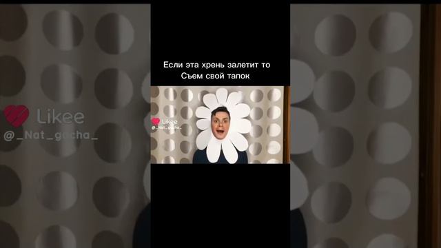 па па па па па па па