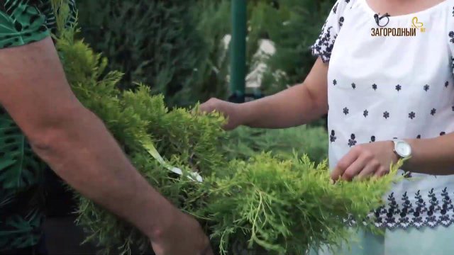 Телеканал «Загородный»