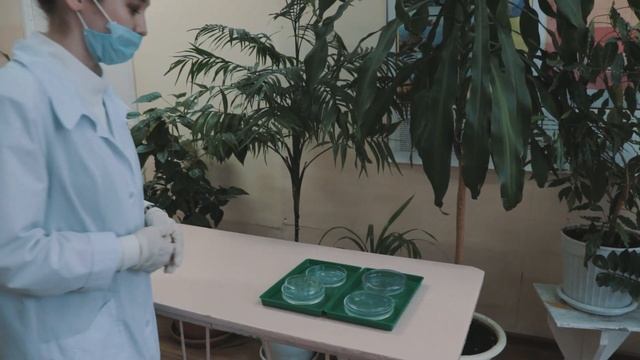 Экспериментальная работа "Влияние биологических, химических и физических факторов на микроорганизмы